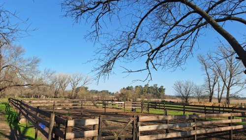 Campo En Venta - 2 Dormitorios 1 Baño - 12.000mts2 - Exaltación De La Cruz