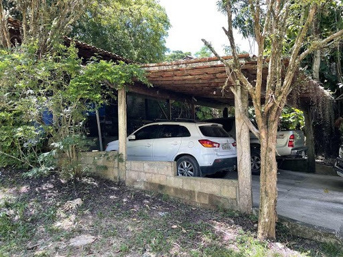 Imagem 19 de 20 de Lindo Sitio Na Estrada Italia Com Mais De 40 Arvores Frutíferas - Ca0405
