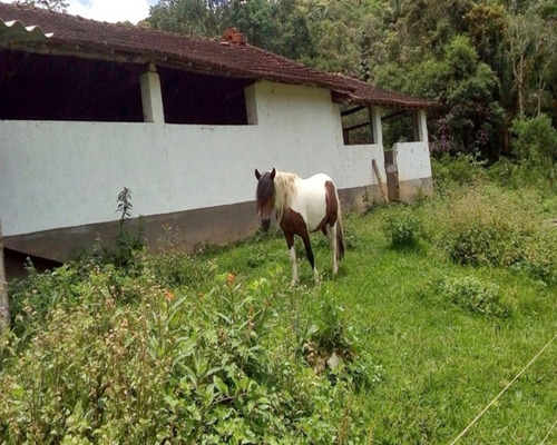 Imagem 16 de 30 de Sitio À Venda Em Juquitiba, - 21 - 32982657