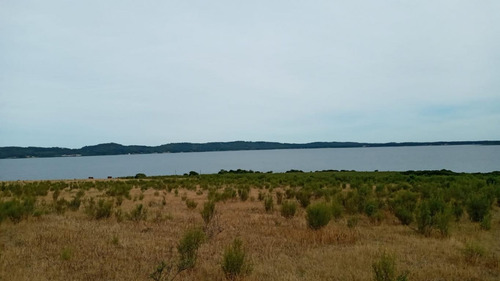 Imagen 2 de 5 de Sobre La Laguna Del Sauce!!!