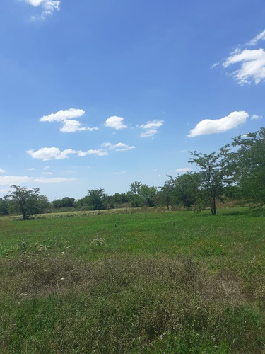Imagen 5 de 8 de Av. Presidente Perón Al 1550 - Manzana 27 Lote 49