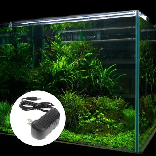 Balacoo: Enchufe Y Adaptador Led, Corriente Para Luz