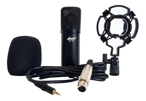 Microfono Condenser Lane Bm-700 Estudio Filtro Araña Cable