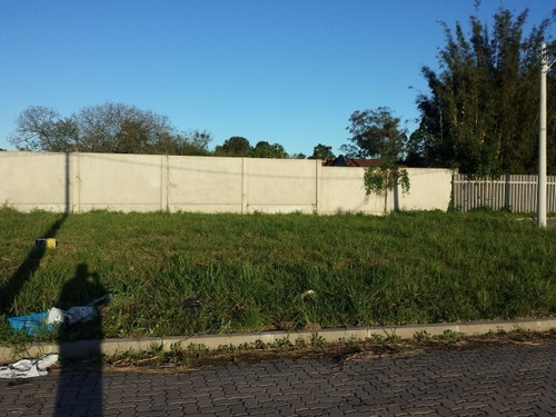 Imagem 7 de 7 de Terreno Em Condomínio Na Av. Juca Batista - 766