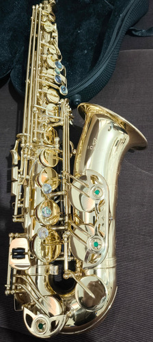 Sax Alto Michael (novíssimo) Dourado (Usado)