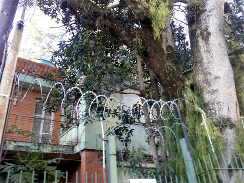 Imagem 7 de 15 de Vende Amplo Terreno Na La Plata No Bairro Jardim Botânico. - Reo590908