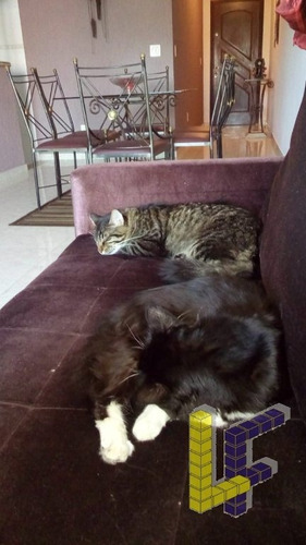 Imagem 7 de 9 de Apartamento - B. Nova Gerty - 17033