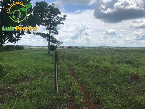 Imagem 3 de 12 de Fazenda À Venda Em Conceição Do Araguaia -pa-4.854.52 Hec. (d. Aptidão) - 2091