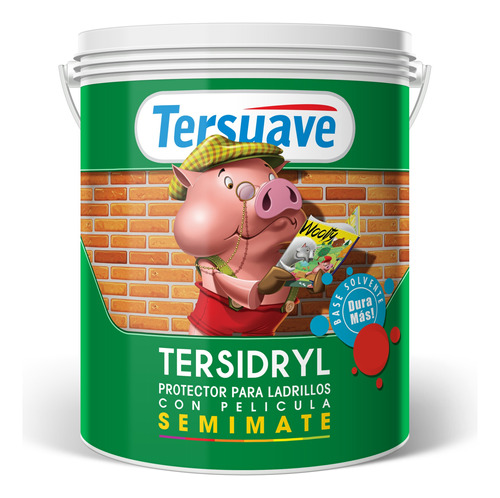 Pintura Para Ladrillo C/ Película Tersidryl Tersuave 1 Lt