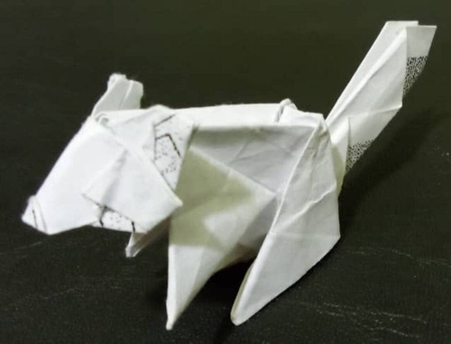 Origami De Mapache