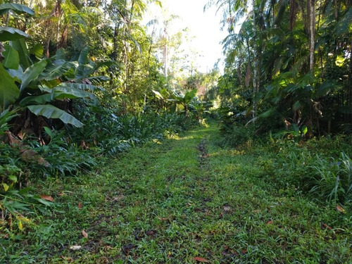 Imagem 16 de 21 de Linda Chácara Medindo 5,7 Alqueires Localizada No Anhaia Por R$280.000 Morretes Pr - Ch0147