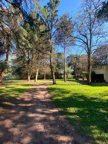 Imagen 1 de 13 de En Venta Importante Chacra 5.5 Hectareas Con Emprendimiento