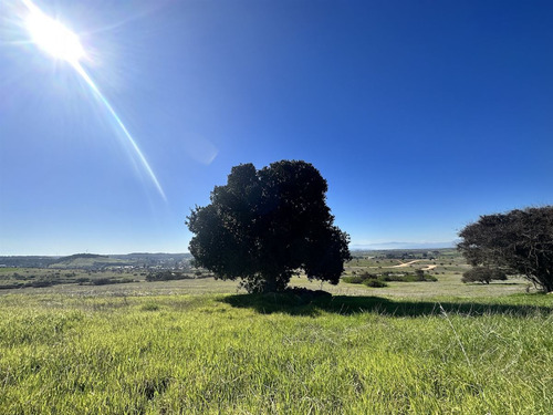 Gran Venta Final En Hacienda Don Bastián A 2 Horas Santiago