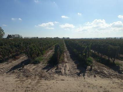 Imagen 1 de 1 de Bodega - Ugarteche