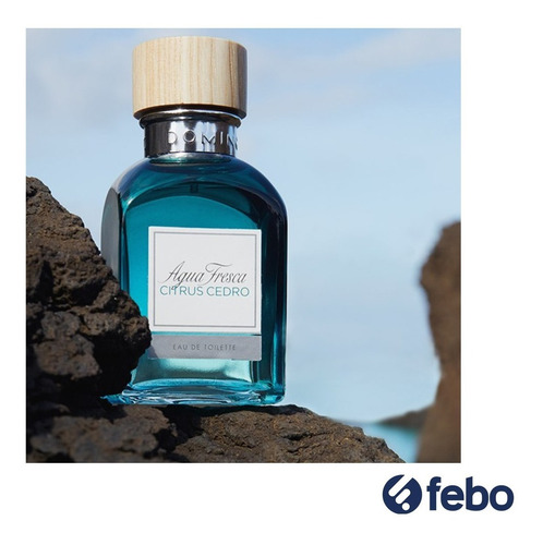Imagen 3 de 5 de Perfume Adolfo Dominguez Agua Fresca Citrus Cedro 60ml Febo