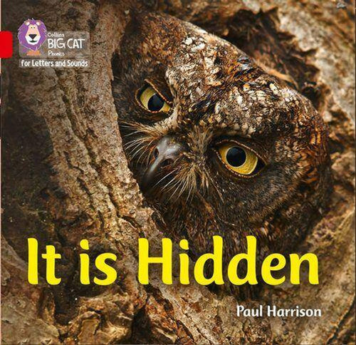 It Is Hidden - Big Cat Phonics For Letters And Sounds