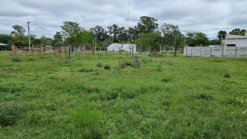 Imagen 4 de 5 de Lote