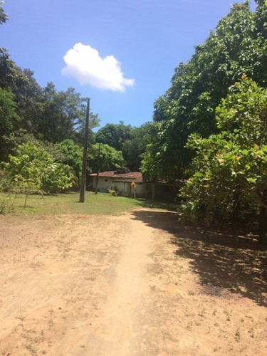 Melhor Área P/loteamento 91m Beira Pista, Granja 5.05 Hec, Guabiraba, Aceito Imóvel Ou Carro - Ch00009 - 67721727