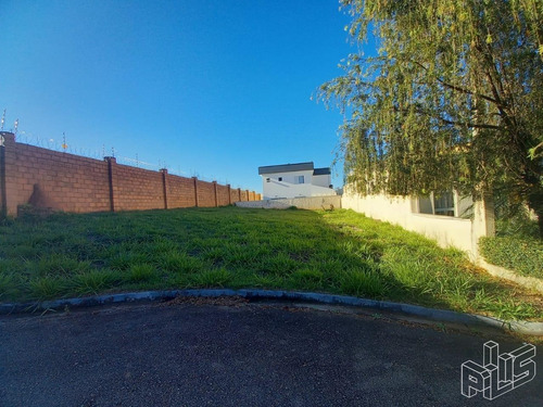 Imagem 2 de 5 de Terreno À Venda Em Condomínio Belvedere Ii - Te006883