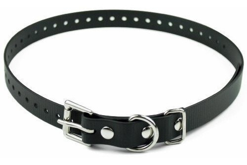 Collar De Perro Pequeño