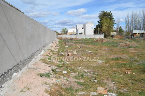 Imagen 4 de 16 de Venta Terreno 996m2 Apto Desarrollo Confluencia Rural Neuquén