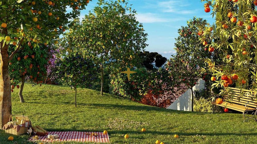 Imagem 13 de 16 de Apartamento A Venda - 983