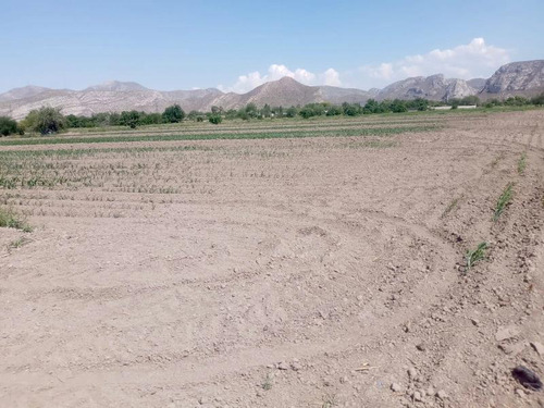 Terreno En Venta En Carlos Real (san Carlos), Lerdo, Durango