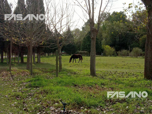 Imagen 2 de 16 de Quinta En Venta En Otamendi - Campana