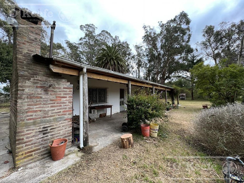 Imagen 3 de 17 de 5 Has En Veronica - Chacra En Venta Con Importante Arboleda