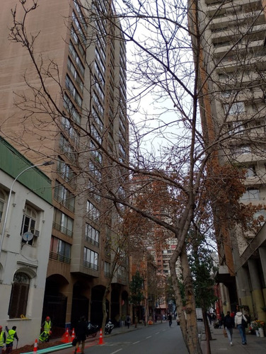 Departamento 1 Dormitorio 1 Baño San Isidro