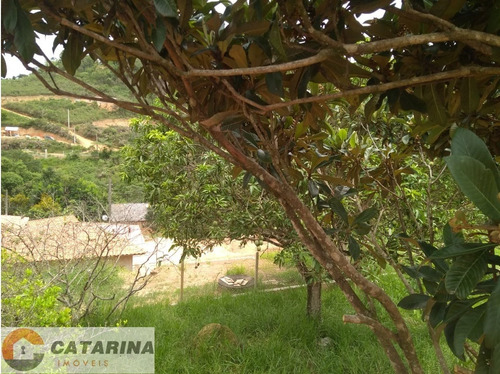 Imagem 9 de 14 de ***belíssima Chácara***