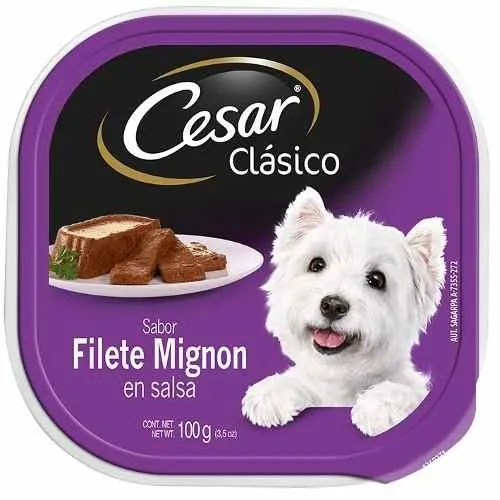 Cesar 100g top