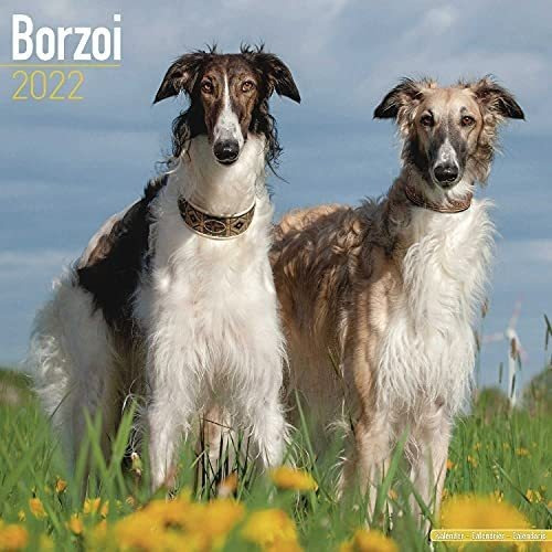 Libro: Calendario Borzoi Calendarios De Razas De Perros De