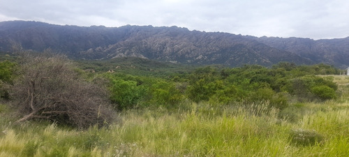 Venta De Lotes 1000 M2 Cortaderas- San Luis