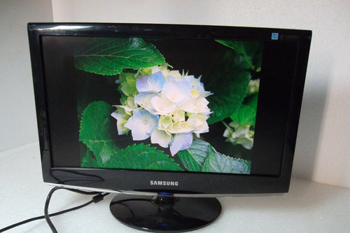 Monitor  Lcd Vga Samsung 19 