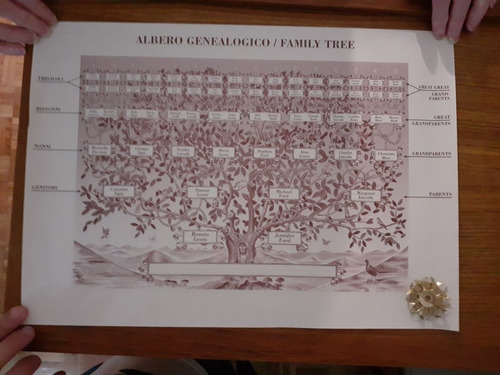 Arbol Genealógico Conjunto De Láminas Origen Italia. (Usado)