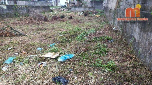 Imagem 2 de 6 de Oportunidade!!! Terreno 313m² - Te0953