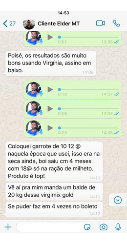 Virgin Mixx Gold Virginiamicina - Alta Concentração - 1 Kg