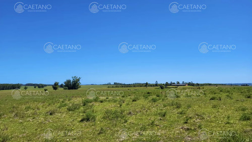 Venta Chacra Jose Ignacio Con Costa Arroyo Anastasio