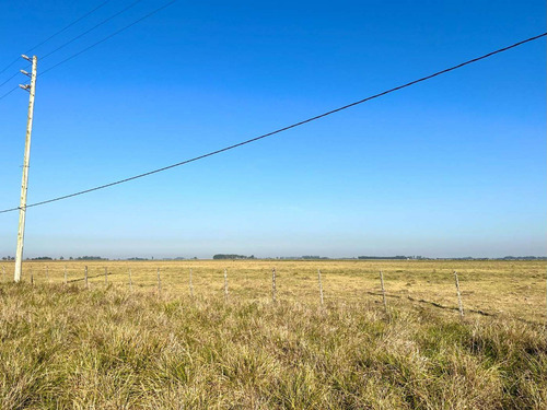 Imagen 18 de 20 de Venta Chacra 15 Hectareas Cañuelas Buenos Aires