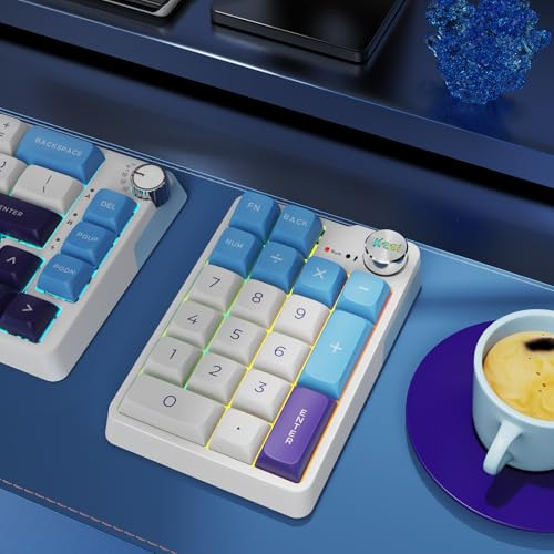 Pack Teclado Numrico Mecnico Bluetooth Recargable 19 Teclas
