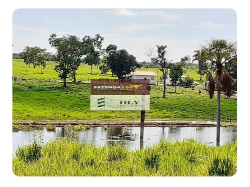 Imagem 3 de 11 de Fazenda Extra ! Região São Miguel Do Araguaia 75 Alqueires ! - 380