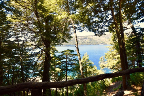 Alquiler Cabañas, Cordillera, Villa Pehuenia, Lago Moquehue