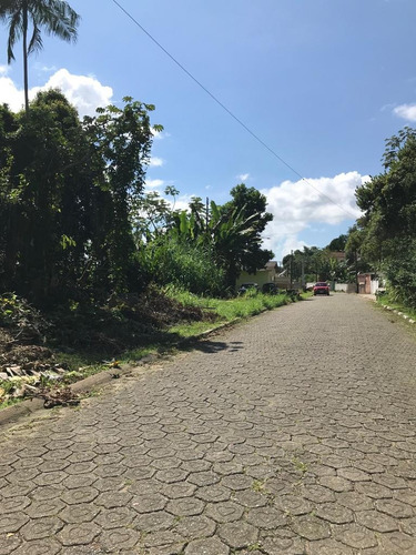 Terreno - Te00014 - 33826720
