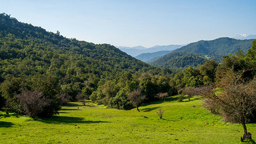 Imagen 4 de 20 de Lomas De Huemul