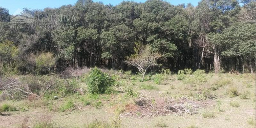 Imagen 2 de 5 de Camino Al Cuadrado - Rio Ceballos - Terreno 2990 Metros En Venta