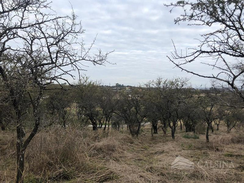 Imagen 5 de 11 de Terreno - El Terron - Mendiolaza