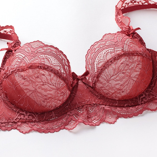 Set De Sujetador Ultra Fino De Encaje Transparente De 2 Piez