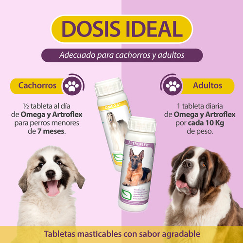 Artroflex Y Omega Ruiland Combo 200 Tabletas Vitaminas para Perro
