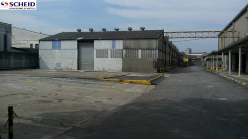 Imagem 4 de 15 de Excelente Galpão Industrial, Nas Marginais Próximo Do Shopping Sp-market - Mr49430